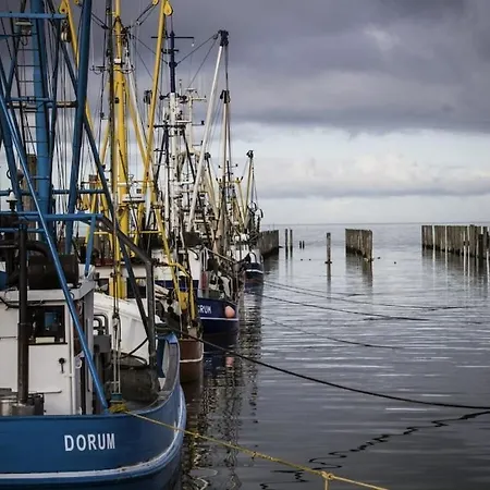 Apartman With 2 Bedrooms Dorumer Neufeld